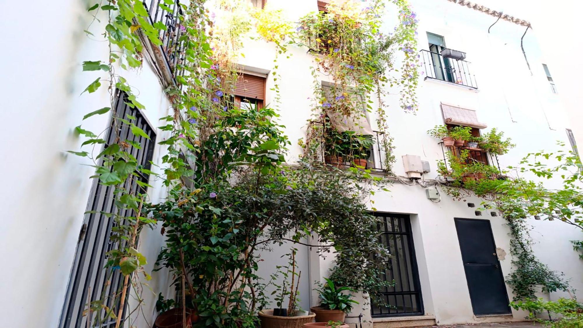 Lucano Centro Córdoba